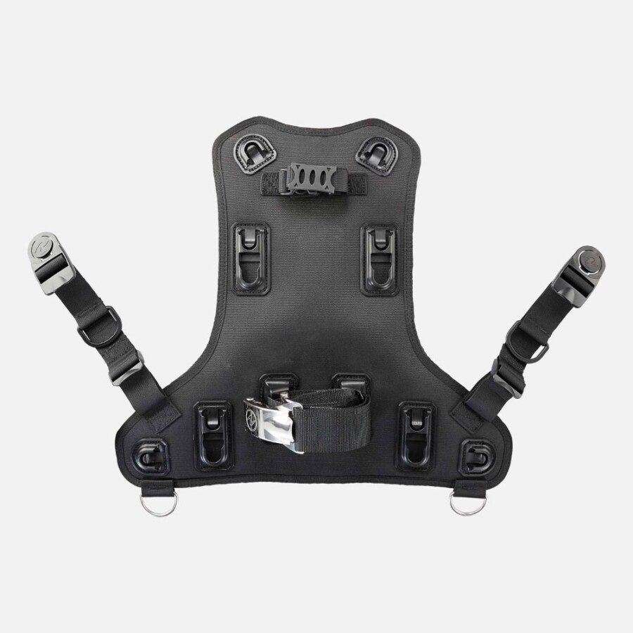 ROGUE BACK ASSEMBLY